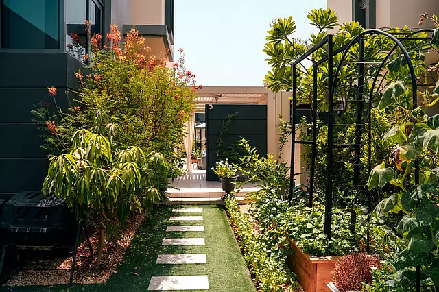Layered planting strategy in a Dubai garden with border greenery, stepping path, and compact edible corner